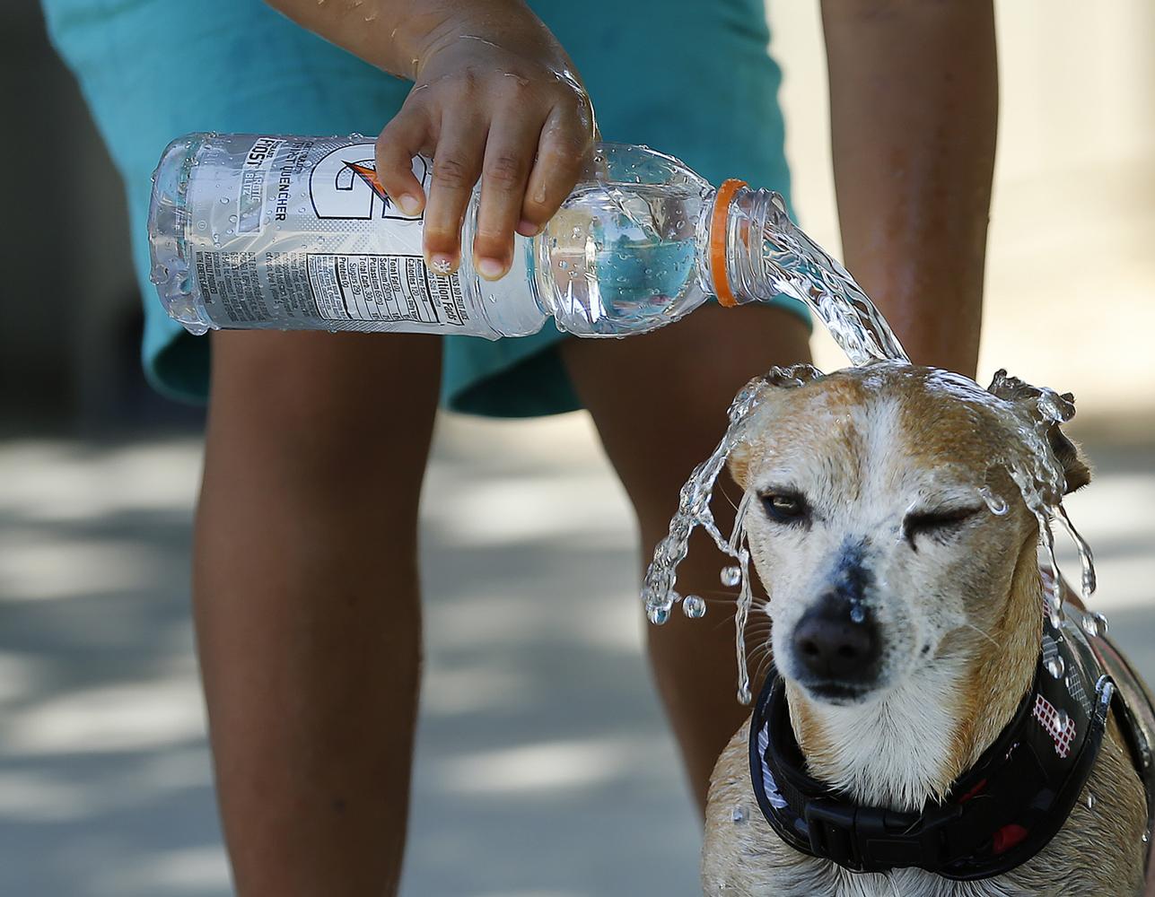With research underway on how GenX will affect Wilmington and the surrounding areas, many are starting to wonder whether or not they should opt to drinking bottled water instead of tap.
