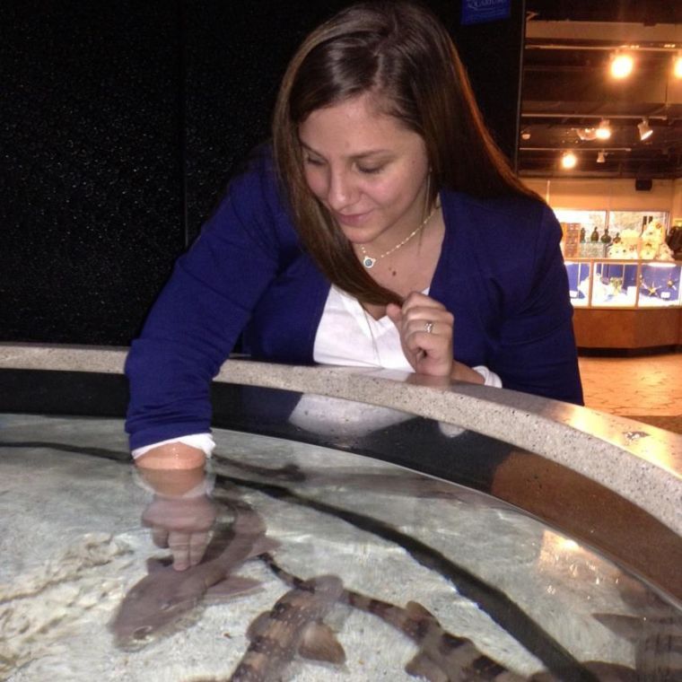 The Seahawk Editor-In-Chief Juliane Bullard pets the sharks at the North Carolina Aquarium at Fort Fisher on an assignment as a intern for the Star News. 