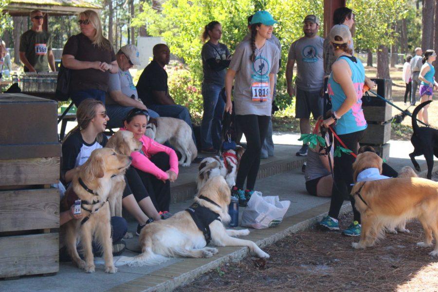 Participants of the eighth annual paws4people 5K rest with their pets before the start of the race Sunday afternoon.
