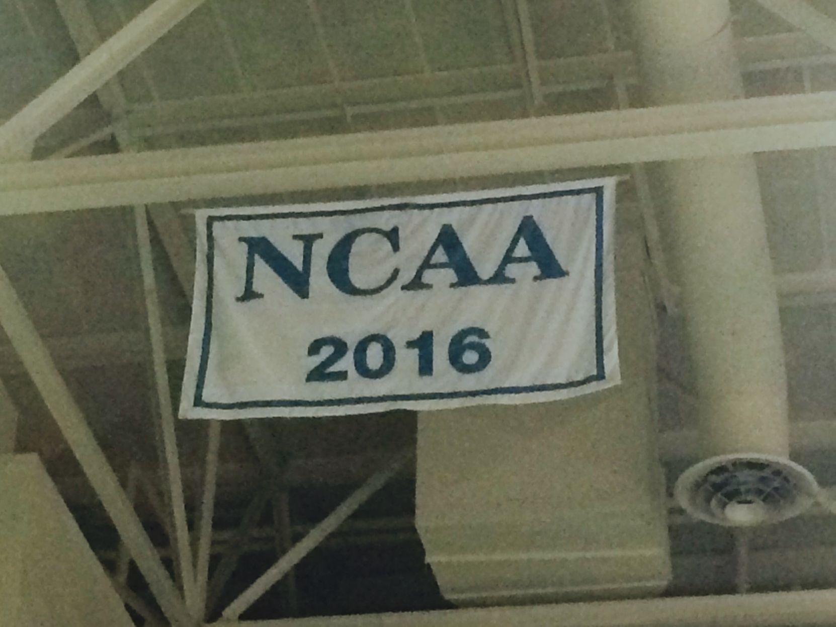 Basketball raises new banner in Trask The Seahawk