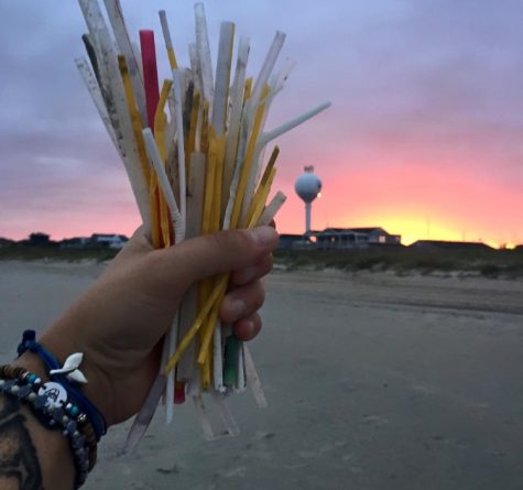 Used straws collected during a beach sweep. Courtesy of UNCW Plastic Ocean Project.