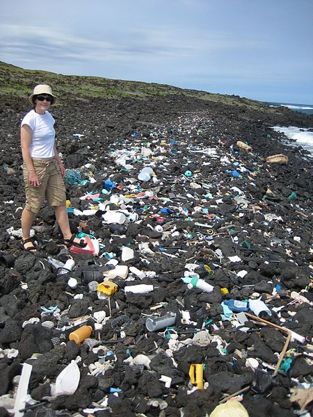 Plastic trash litters a beach in Hawaii in 2008. 