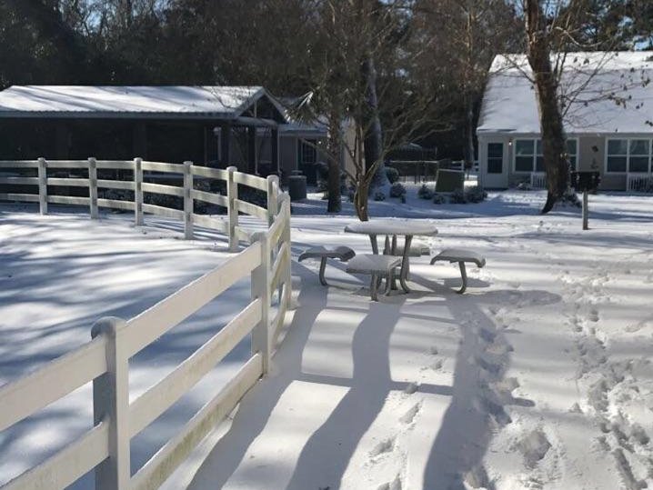 Snow from Winter Storm Grayson blanketed the Wilmington area with snow Wednesday, Jan. 3 into Thursday morning. Some areas of the city received as much as four inches.