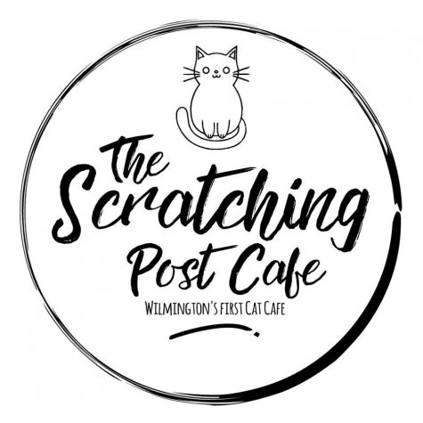 Grab a coffee, rescue a kitten: Wilmington's first cat cafe