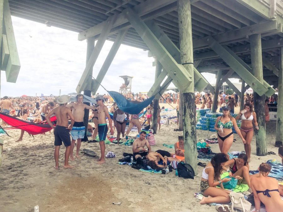 Students gather in the shade of Crystal Pier.