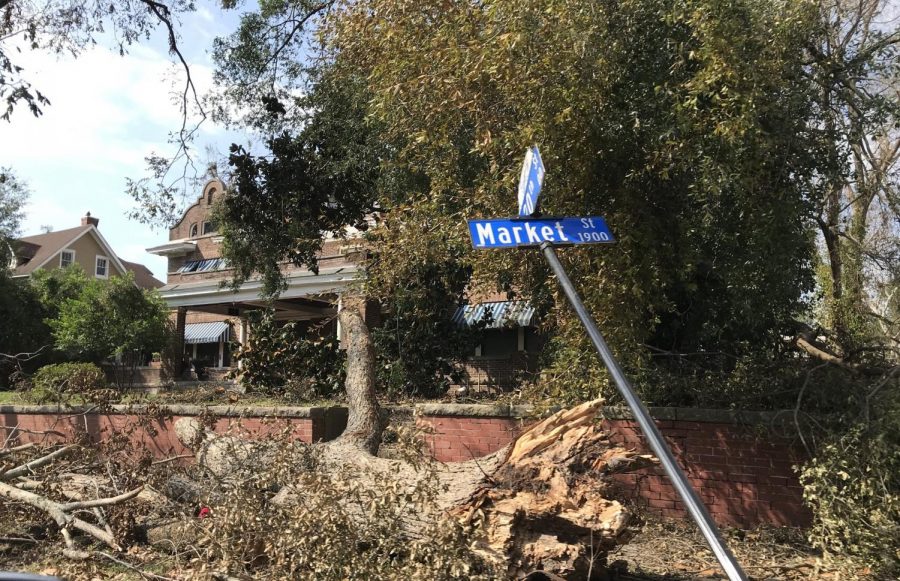Tree and street sign damage in downtown Wilmington at Market st and 20th st.