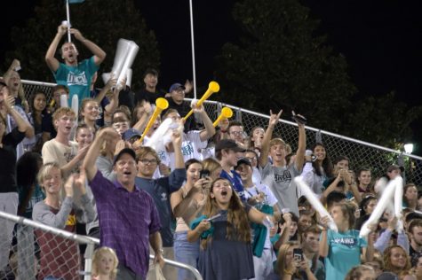 Fans celebrate after a goal