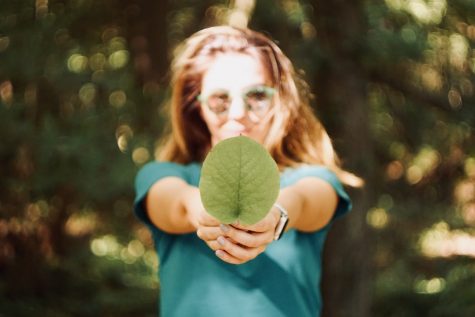 Photo by Mert Guller (Unsplash).
