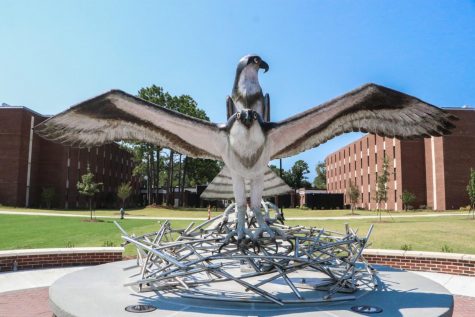 The new seahawk sculpture displayed near Pelican and Sandpiper Halls.