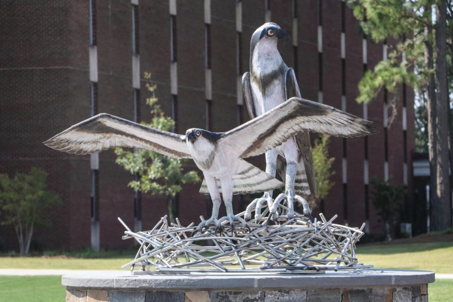 The new seahawk sculpture displayed near Pelican and Sandpiper Halls. 