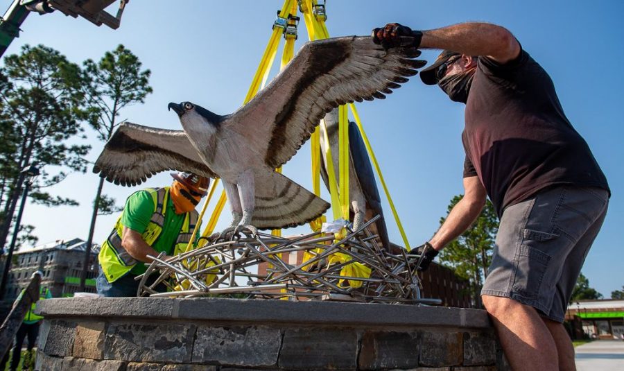 Construction workers and artist Dumay Gorham installing the new seahawk sculpture on campus.  