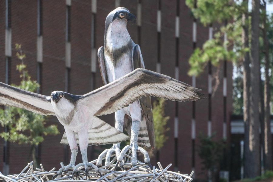 The new seahawk sculpture displayed near Pelican and Sandpiper Halls. 
