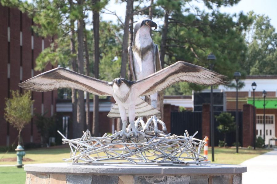 The new seahawk sculpture displayed near Pelican and Sandpiper Halls. 