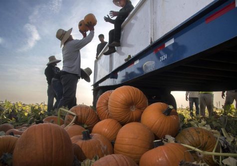 You can still have fun while safely celebrating fall and Halloween this year