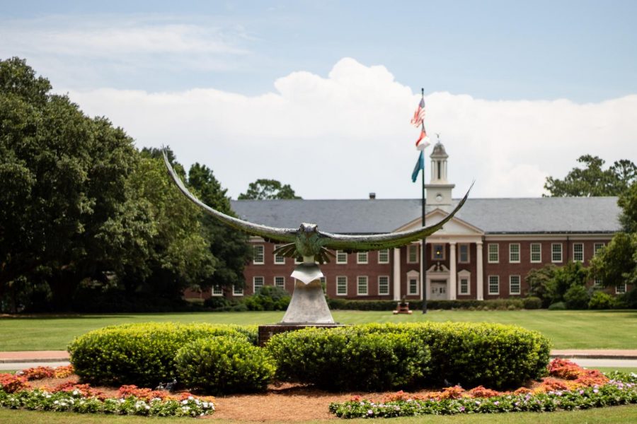 The Seahawk statue on UNCW campus.