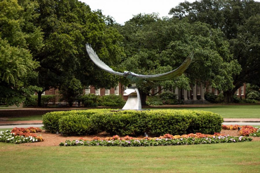 The Seahawk statue on campus.