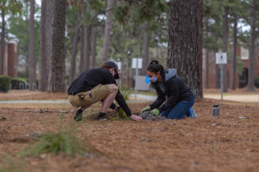 The Gardening club and the 350 club want UNCW to divest from fossil fuels