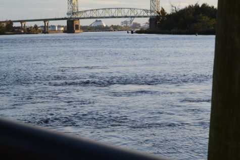 The bridge in the distance on the Cape Fear river.