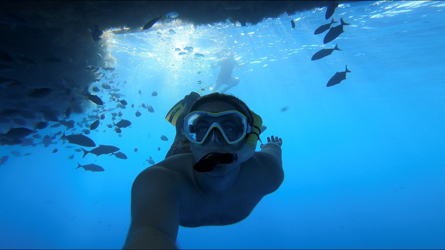 Sam Shore, President of the Plastic Ocean Project, goes diving.