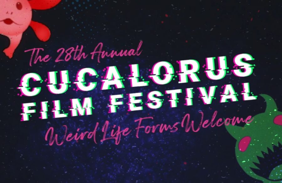 The 28th annual Cucalorus Film Fesitval hosted over 136 international and independent films.