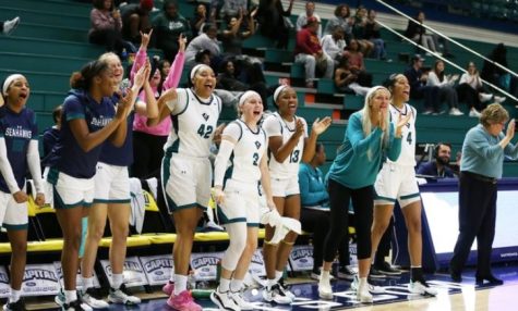 The UNCW Womens Basketball team celebrates an 84-59 victory over Mount Olive, ending their 2021-2022 losing streak.