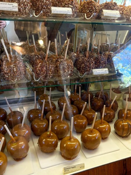 A variety of candy apples for sale at Kilwins on Market St.