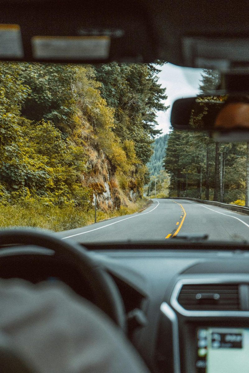 A car driving on a road in the forest. (Cristofer Maximilian/Unsplash.com)