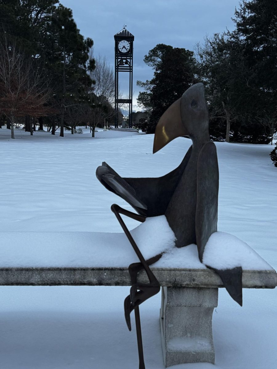 Seahawk reading statue outside of Randall Library in the snow (Courtesy of Joe Bowling). 