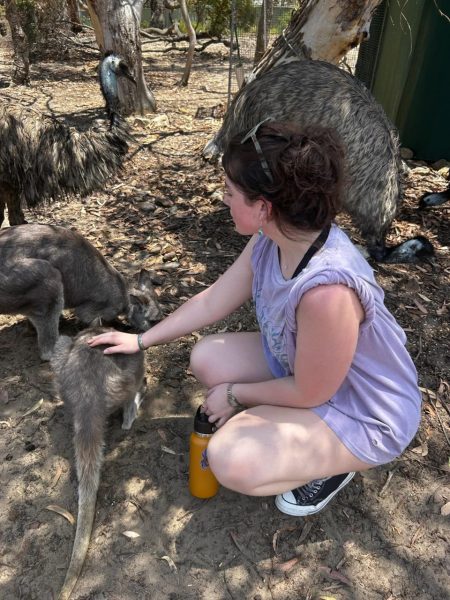 UNCW student Nicole Grady with a kangaroo in Australia (Courtesy: Nicole Grady).