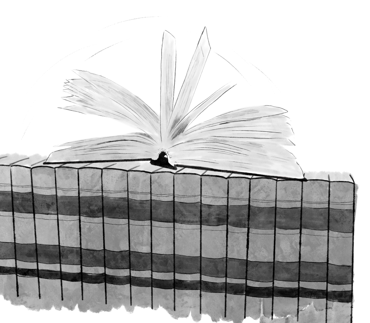 Photo illustration of books (Gracie Davis/The Seahawk).