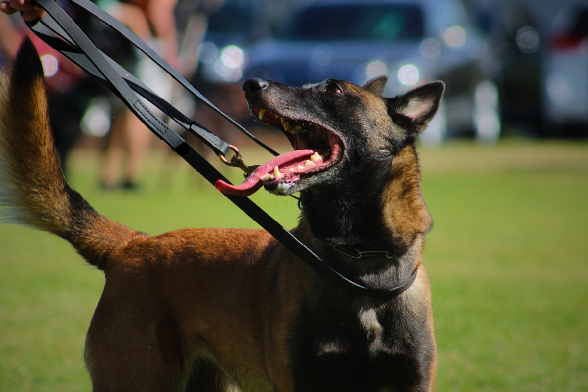 Fury most personality winner